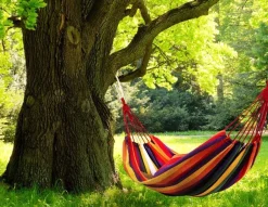 MODERNHOME MODERN HOME Hängematte Doppelhängematte Für 1-2 Personen Outdoor Baumwolle Tragbar Garten Camping Hängematte Belastbarkeit 150kg Rainbow Geeignet Für Reise XXL GW-906 -Garten- & Gewächshäuser Geschäft 39fd853bee8fb9511d7fe0805a261cdd