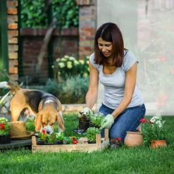 Relaxdays Tomatengewächshaus XL Mit Runddach -Garten- & Gewächshäuser Geschäft 3d1b3e402013f04422a38e132d1f3a50