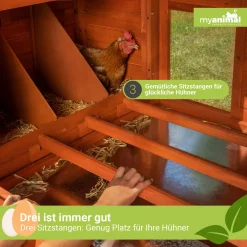 MyAnimal XXL Hühnerstall MH-22 - Wetterfest & Winterfest - Hochwertiges Kiefernholz (Grau) - Für 8 Hühner - Nistkasten - Trennbare Etagen - Sitzstange - Türverriegelungen - Hühnerhaus -Garten- & Gewächshäuser Geschäft 3eb59861bc3434f2f60f3bd670980483