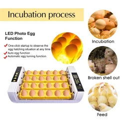 Topchances Inkubator Automatische Brutmaschine Vollautomatisch 24-Inkubator-Brutapparat Mit Automatischem Turner, Temperatur- Und Feuchtigkeitsregelung Für Huhn Enten Gänse Geflügel Taube Wachtel -Garten- & Gewächshäuser Geschäft 3f16257bc26e6d0152c510551740838a