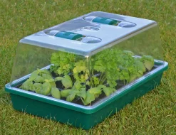 Haushalt International HI Mini-Gewächshaus 38x24,5x18 Cm Transparent -Garten- & Gewächshäuser Geschäft 3fcfb251ceb0b2e3a2fe92b413dfe698