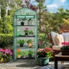 COSTWAY Mini Gewächshaus Mit 4 Etagen, Foliengewächshaus Winterfest, PVC Gewächshausabdeckung, Anzuchthaus Mit Reißverschluss, Gartenhaus Für Garten Balkon Outdoor (70x49x159cm, Grün)