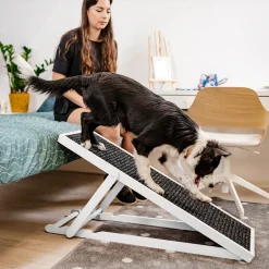 HOLTAZ Hunderampe Haustierrampe Für Bett Oder Sofa Klappbar Verstellbarer Aus Holz Mit Anti-rutsch Einsatz Für Katzen Oder Hunde Weiß 15 HOLTAZ Hunderampe Haustierrampe Für Bett Oder Sofa Klappbar Verstellbarer Aus Holz Mit Anti-rutsch Einsatz Für Katzen Oder Hunde Weiß -Garten- & Gewächshäuser Geschäft 431dd6a0d59661fadd15566466fa236c