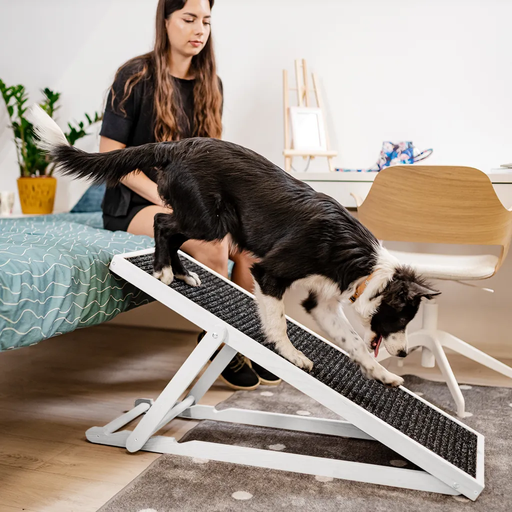 HOLTAZ Hunderampe Haustierrampe Für Bett Oder Sofa Klappbar Verstellbarer Aus Holz Mit Anti-rutsch Einsatz Für Katzen Oder Hunde Weiß 7 HOLTAZ Hunderampe Haustierrampe Für Bett Oder Sofa Klappbar Verstellbarer Aus Holz Mit Anti-rutsch Einsatz Für Katzen Oder Hunde Weiß – Bild 7