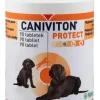 GroßhandelPL Vetoquinol CANIVITON Protect 90 Tabletten