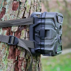 SECACAM Wildkamera Premium Pack Wild-Vision Full HD 5.0 -Garten- & Gewächshäuser Geschäft 446ea262653ecbf04c4cd4bbe91f1f74