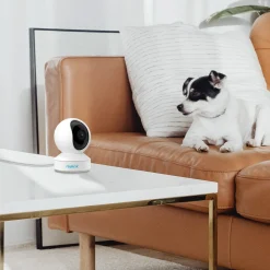 Reolink WLAN Überwachungskamera Innen 4MP, Schwenkbare IP-Kamera Indoor Mit Auto-Tracking, Personen-/Haustiererkennung, 2,4/5GHz WiFi, 2-Wege-Audio, IR-Nachtsicht, SD-Kartenslot, E1 Pro (Schwarz Und Weiß), 4 Stück 50 Reolink WLAN Überwachungskamera Innen 4MP, Schwenkbare IP-Kamera Indoor Mit Auto-Tracking, Personen-/Haustiererkennung, 2,4/5GHz WiFi, 2-Wege-Audio, IR-Nachtsicht, SD-Kartenslot, E1 Pro (Schwarz Und Weiß), 4 Stück -Garten- & Gewächshäuser Geschäft 457db3da0ec2ac44050a8577cd264bb0