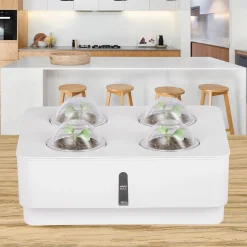 ONVAYA® Zimmergewächs Anzucht Set | Zimmer Gewächshaus Inkl. Kokoserde Und Saatgut | Kleines Gewächshaus Mit Smart Bewässerungssystem Zimmergarten 13 ONVAYA® Zimmergewächs Anzucht Set | Zimmer Gewächshaus Inkl. Kokoserde Und Saatgut | Kleines Gewächshaus Mit Smart Bewässerungssystem Zimmergarten -Garten- & Gewächshäuser Geschäft 46b21e251f3e55020f7a3813126ca6ea