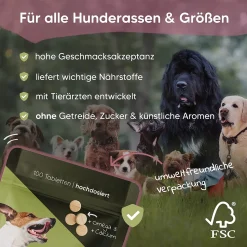 Pawlie's Gelenktabletten Für Hunde (NEU) | Grünlippmuschel Hund, Glucosamin, MSM & Teufelskralle | Hunde Leckerlis Mit Omega 3, 100 Stück, Hohe Akzeptanz, In DE Hergestelltes Ergänzungsfutter -Garten- & Gewächshäuser Geschäft 48c8287d48bb881c474c95827d10709b