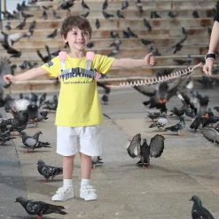 Mmgoqqt Kleinkind-Leine Zum Spazierengehen, Baby-Leine Für Kleinkinder Und Jungen, 4-in-1, Kindergeschirr Mit Leine, Kindersicherungs-Leine, Anti-Verlust-Handgelenk-Link ,Pink,2.5m -Garten- & Gewächshäuser Geschäft 4ad16cbc567cec3f4fa70e8a6124348b