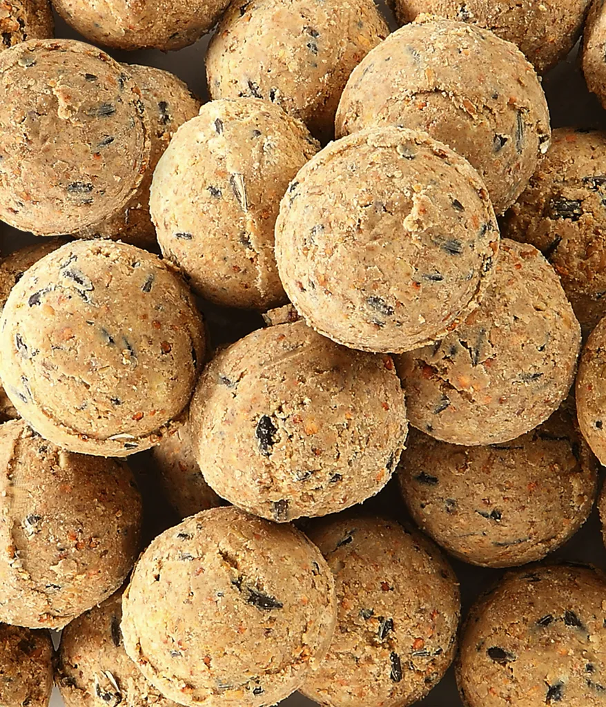 Dehner Natura Wildvogelfutter, Große Meisenknödel, Ohne Netz, 100 Stück Je 100 Gramm (10 Kg) 4 Dehner Natura Wildvogelfutter, Große Meisenknödel, Ohne Netz, 100 Stück Je 100 Gramm (10 Kg) – Bild 4