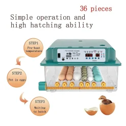Topchances 36 Eier Brutmaschine Vollautomatisch, Brutapparat Eier Inkubator Mit LED Light Feuchtigkeits Temperaturanzeige Hatcher Maschine Für Hühnergans Ente Taube Wachtel Vogel -Garten- & Gewächshäuser Geschäft 4bcd6941dd138d5bde5af3a0ed13cb2a