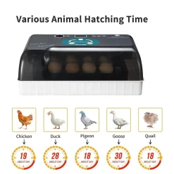 Topchances Brutmaschine Vollautomatisch, Brutgerät Brutkasten Motorbrüter Brutapparate Inkubatoren Für Geflügeleier Mit LED Temperaturanzeige,Temperatur Und Feuchtigkeitsregulierung -Garten- & Gewächshäuser Geschäft 4e0280c486981f40f20a93017c618175