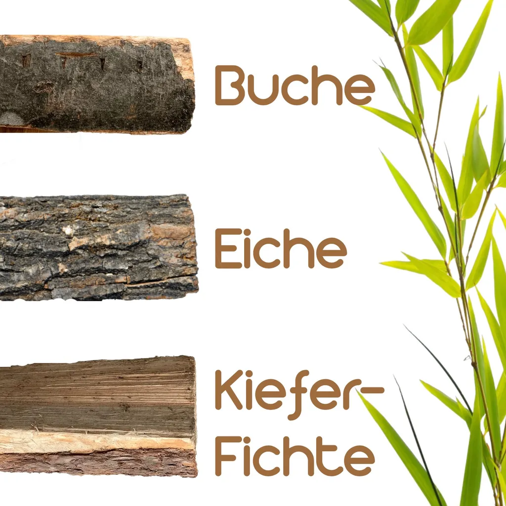 BooGardi Brennholz 30 Kg Buche Im Karton Für Kamin, Ofen Und Grill 2 BooGardi Brennholz 30 Kg Buche Im Karton Für Kamin, Ofen Und Grill – Bild 2