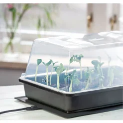 Romberg Thermo M Gewächshaus 38 X 24 X 19 Cm + Heizmatte 35 X 25 Cm, 17,5 Watt -Garten- & Gewächshäuser Geschäft 5118958176745060d210a9ac6b02f259