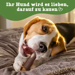 Cozy Casa Olivenholz-Kaustab Für Hunde | Holz Hundespielzeug Kauwurzel Kauknochen Vegan - L -Garten- & Gewächshäuser Geschäft 52e23641ae0083fd83b7abdb66a6c6c1