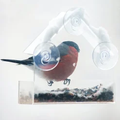 ProGarden Vogelhäuschen Futterhäuschen Futterstation Transparent Mit Saugnäpfen Für Fensterscheiben 15x15x6 Cm 16 ProGarden Vogelhäuschen Futterhäuschen Futterstation Transparent Mit Saugnäpfen Für Fensterscheiben 15x15x6 Cm -Garten- & Gewächshäuser Geschäft 5542131e02fb2d33e12cd6f3b4511d18