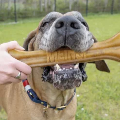 Exklusiv Bei Schecker - Kauknochen - Personalisiert - Mit Gravur - MEINS