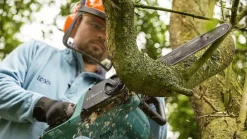 Bosch Haus Und Garten UniversalChain 35 Elektrische Kettensäge Inklusive 2. Kette 1800 W Klingenlänge 350 Mm -Garten- & Gewächshäuser Geschäft 56f80a6cb28bd1a342963f06ac232b79