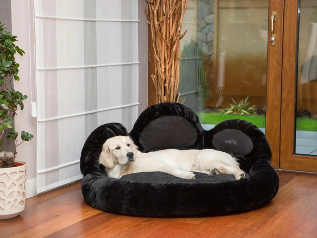 Hundebett Hobbydog PFOTE Tierbett Hundesofa Schlafplatz Couch Rund Plüsch XXL Schwarz 1 Hundebett Hobbydog PFOTE Tierbett Hundesofa Schlafplatz Couch Rund Plüsch XXL Schwarz