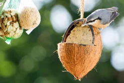 Dobar 23-teiliger Vogelfutter Spezialitäten-Mix Für Wildvögel, Inkl. Meisenknödel, 2700g Wildvogelfutter -Garten- & Gewächshäuser Geschäft 59355c31432961a5e2f1c8ddac6e5b48