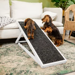 HOLTAZ Hunderampe Haustierrampe Für Bett Oder Sofa Klappbar Verstellbarer Aus Holz Mit Anti-rutsch Einsatz Für Katzen Oder Hunde Weiß 16 HOLTAZ Hunderampe Haustierrampe Für Bett Oder Sofa Klappbar Verstellbarer Aus Holz Mit Anti-rutsch Einsatz Für Katzen Oder Hunde Weiß -Garten- & Gewächshäuser Geschäft 5cbaad41e83cce5c3e4164f83f40b396
