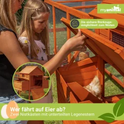 MyAnimal XXL Hühnerstall MH-22 - Wetterfest & Winterfest - Hochwertiges Kiefernholz (Grau) - Für 8 Hühner - Nistkasten - Trennbare Etagen - Sitzstange - Türverriegelungen - Hühnerhaus -Garten- & Gewächshäuser Geschäft 5ce2ce7db32475401aab84a789dfa605