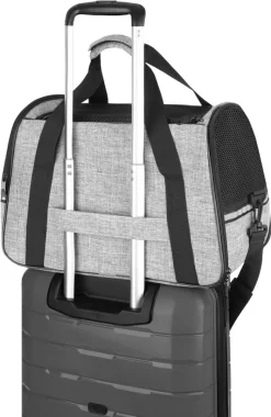 Zagatto ZG686 Swcharze Transportbox Für Haustiere Groß XL 51x36x28 Cm Tiertransporter Für Hunde Und Katzen -Garten- & Gewächshäuser Geschäft 5dad2dbc04d84e92fc424a72865fb91d