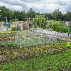 Relaxdays Folienfrühbeet PVC Mit 3 Türen