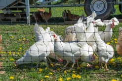 Horizont Group Horizont Geflügelnetz Easy 25 M, 120 Cm, Doppelspitze, Ohne Strom -Garten- & Gewächshäuser Geschäft 6145eb9a18333f64f95957f899e984c4