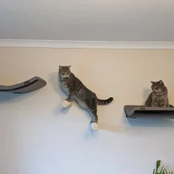 Capri Corner Wand Kletter Stufe Aus Sisal Für Katzen 13 Capri Corner Wand Kletter Stufe Aus Sisal Für Katzen -Garten- & Gewächshäuser Geschäft 642206a0733f453a540acbd0ad41e67c