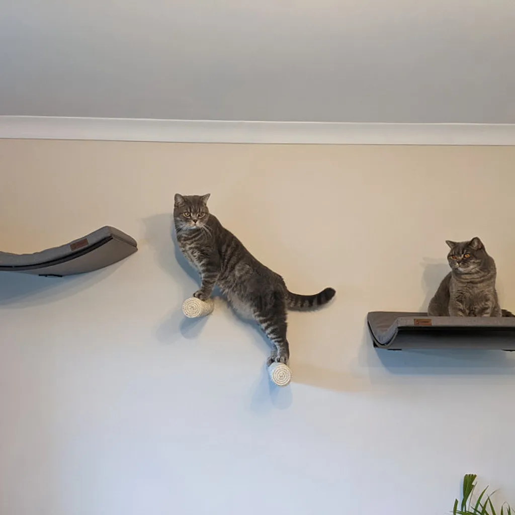 Capri Corner Wand Kletter Stufe Aus Sisal Für Katzen 7 Capri Corner Wand Kletter Stufe Aus Sisal Für Katzen – Bild 7