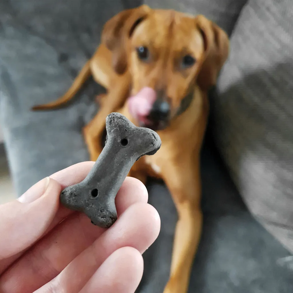 3x500g Schecker Digestiva - Hundekekse Mit Futterkohle - Bei Leichten Verdauungsproblemen 3 3x500g Schecker Digestiva - Hundekekse Mit Futterkohle - Bei Leichten Verdauungsproblemen – Bild 3