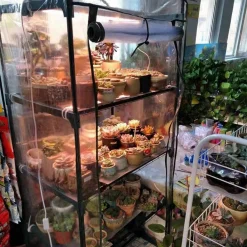 Jefety Tectake Foliengewächshaus,Balkon Gewächshausabdeckung Transparent 69*49*126CM 9 Jefety Tectake Foliengewächshaus,Balkon Gewächshausabdeckung Transparent 69*49*126CM -Garten- & Gewächshäuser Geschäft 656dadf9c3aab231b4e38616647e8e87