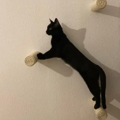 Capri Corner Wand Kletter Stufe Aus Sisal Für Katzen 12 Capri Corner Wand Kletter Stufe Aus Sisal Für Katzen -Garten- & Gewächshäuser Geschäft 664ffebbaae64f1d239681db7ed815fc