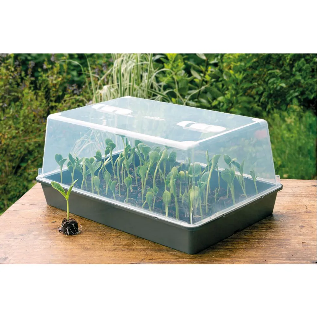 Romberg Gewächshaus XXL 59 X 39 X 27 Cm 4 Romberg Gewächshaus XXL 59 X 39 X 27 Cm – Bild 4