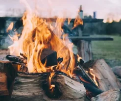 Brennholz Kaminholz Erle Auf Palette 1 Raummeter 450kg -Garten- & Gewächshäuser Geschäft 6754161d0c3f87fd2b721d743d21dd8c