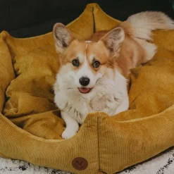 Pfotenfreunde Hundebett Krone L - Gelb 11 Pfotenfreunde Hundebett Krone L - Gelb -Garten- & Gewächshäuser Geschäft 67b9b9671ff580017f74fb697f2244db