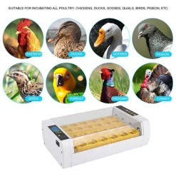 Topchances Inkubator Automatische Brutmaschine Vollautomatisch 24-Inkubator-Brutapparat Mit Automatischem Turner, Temperatur- Und Feuchtigkeitsregelung Für Huhn Enten Gänse Geflügel Taube Wachtel -Garten- & Gewächshäuser Geschäft 69cb8f3f4d6509a97d0cb210916479f0