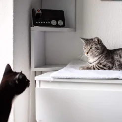 HQ Product Development Pfotenolymp® Premium Katzendecke / Hundedecke – Selbstheizende Heizdecke – Wärmedecke Selbstwärmend Für Katze & Hund – Wärmematte / Heizmatte Für Katzen & Hunde -Garten- & Gewächshäuser Geschäft 69dc826bac133337e33e54598cc3ad93