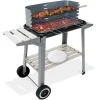 Deuba Grillwagen Holzkohlegrill BBQ Grill Inkl. Räder Ablagen Grillspieß Windschutz Garten Terrasse Campingrill Fahrbar