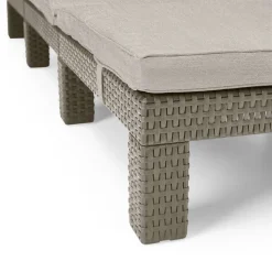 ALLIBERT By KETER Allibert Sonnenliege Daytona Cappuccino 221623 -Garten- & Gewächshäuser Geschäft 6d4864dfbec3b1c548db8678335a2132