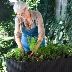 Keter Garten-Blumentopf "Easy Growing" 120 L 229098 -Garten- & Gewächshäuser Geschäft 72d9f4a03149ec074711a26a799790df