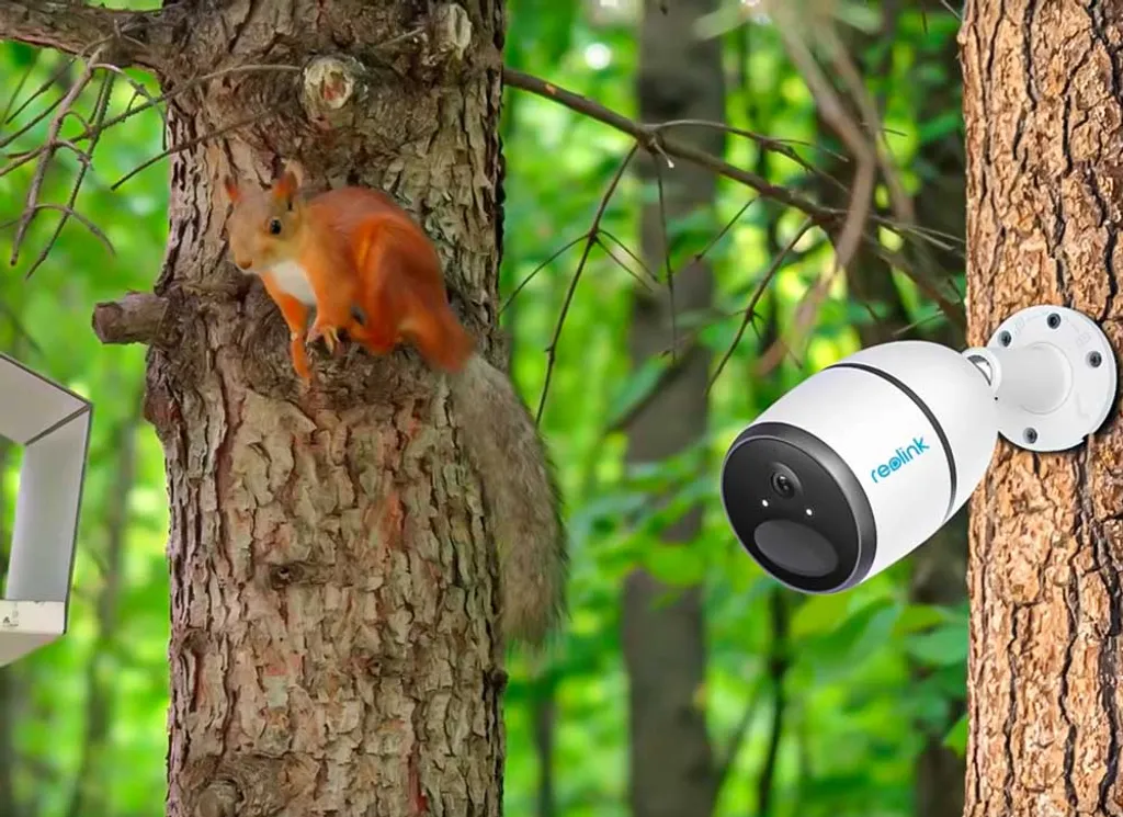 Reolink Go EXT Mobile 4G LTE 2K 4 MP Super HD-Überwachungskamera Mit Intelligenter Personen- Und Fahrzeugerkennung, Inkl. 64 GB SD-Karte 8 Reolink Go EXT Mobile 4G LTE 2K 4 MP Super HD-Überwachungskamera Mit Intelligenter Personen- Und Fahrzeugerkennung, Inkl. 64 GB SD-Karte – Bild 8