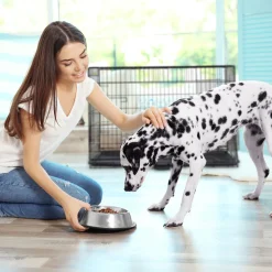 Relaxdays Faltbarer Hundekäfig Mit Boden -Garten- & Gewächshäuser Geschäft 769883d7b29dc8648a5479733cd14018