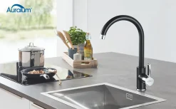 Auralum Niederdruck Wasserhahn Küche Armatur Schwarz Spültischarmatur Spüle Mischbatterie Für Kaltwasser Und Einen Wasserboiler 15 Auralum Niederdruck Wasserhahn Küche Armatur Schwarz Spültischarmatur Spüle Mischbatterie Für Kaltwasser Und Einen Wasserboiler -Garten- & Gewächshäuser Geschäft 77fe1b6300096176b4ea8a8acbf09d07
