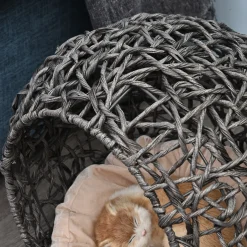 Pawhut Katzenhaus Aus Rattan Mit Kissen Katzenschlafplatz Katzenhöhle Mit Erhöhten Füßen Silbergrau Ø52 X 58 Cm -Garten- & Gewächshäuser Geschäft 782500f33f05d1efb4568098274b4203