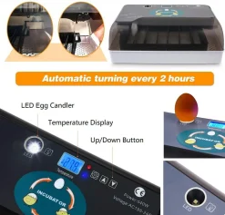 Topchances Brutmaschine Vollautomatisch, Brutgerät Brutkasten Motorbrüter Brutapparate Inkubatoren Für Geflügeleier Mit LED Temperaturanzeige,Temperatur Und Feuchtigkeitsregulierung -Garten- & Gewächshäuser Geschäft 79fd380f62c645a4879d3633b1cbf4b3