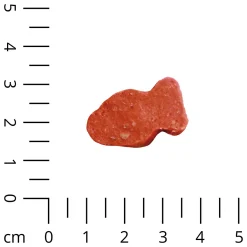 Schecker 5x 200g Mini Fische Softsnack Mit Lachs - Hundefutter - Ideal Fürs Training - Nur 4% Fett -Garten- & Gewächshäuser Geschäft 7a205b8dadaf643a51225f42c64506a1