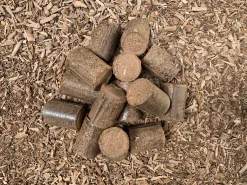 Möbel SD Holzbriketts Buche 29kg Hartholz Kaminofen